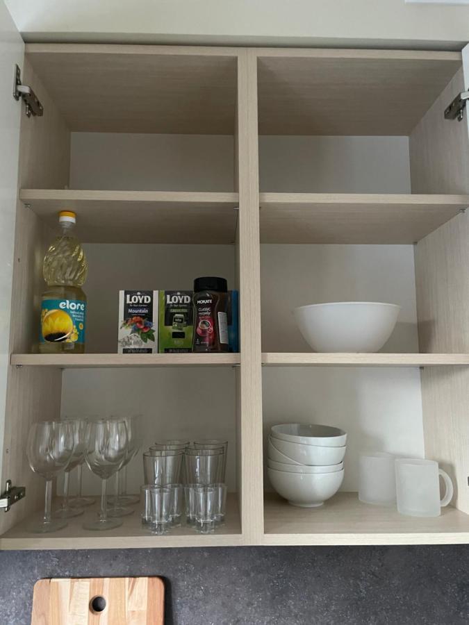 Mg Apartment Kaunas Dış mekan fotoğraf