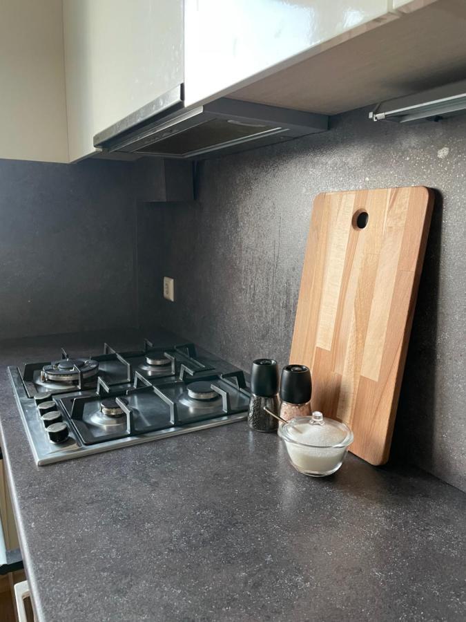 Mg Apartment Kaunas Dış mekan fotoğraf